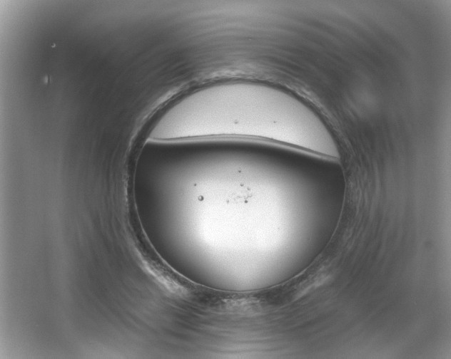 X0000067910446200604131113