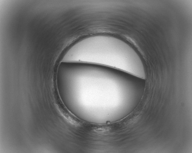 X0000067910447200604131113