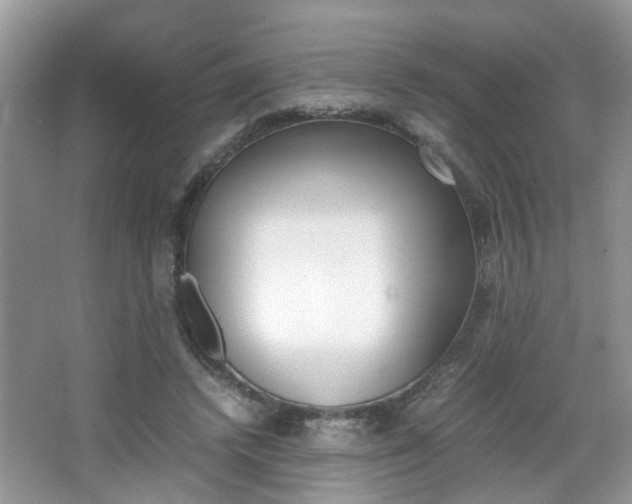 X0000067910448200604131113