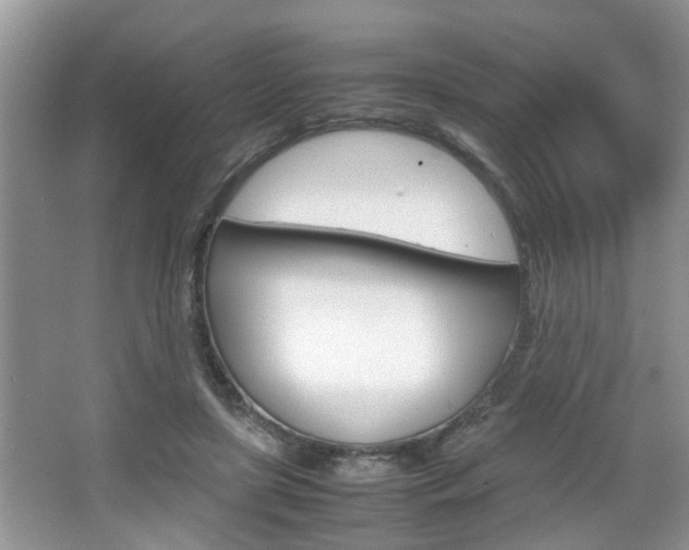 X0000067910451200604131113