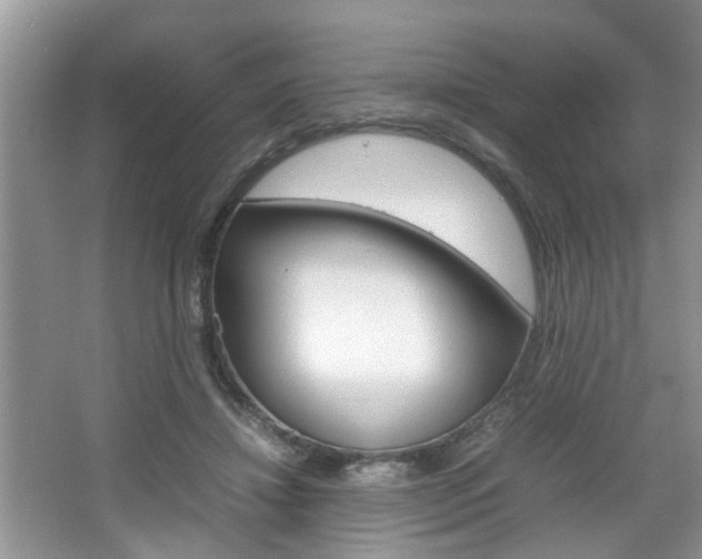 X0000067910452200604131113