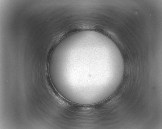 X0000067910453200604131113