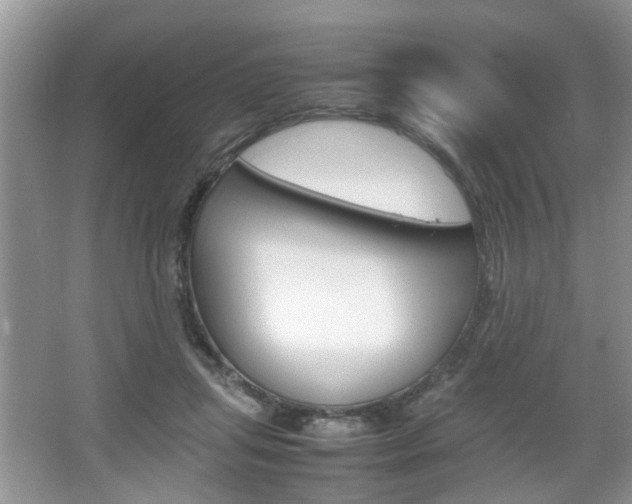 X0000067910455200604131113