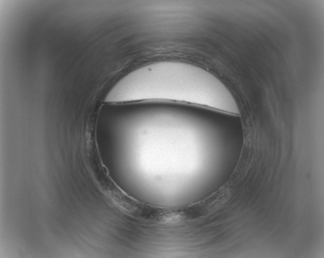 X0000067910456200604131113