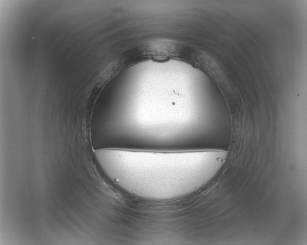 X0000067910457200604131113