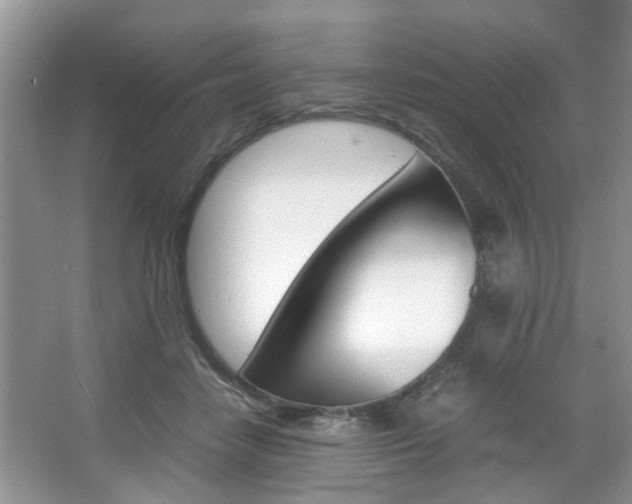 X0000067910458200604131113