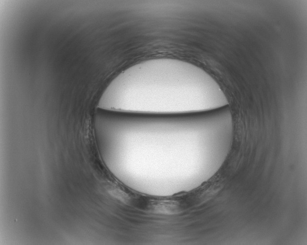 X0000067910463200604131113