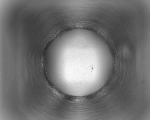 X0000067910466200604131113