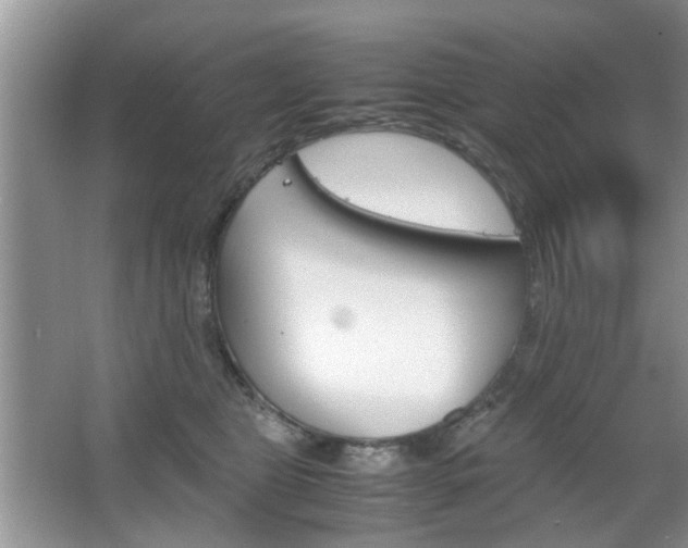 X0000067910469200604131113