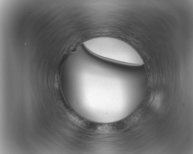 X0000067910470200604131113