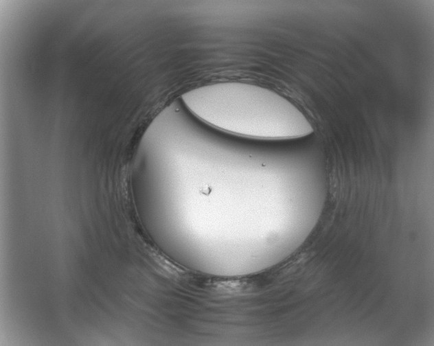 X0000067910473200604131113