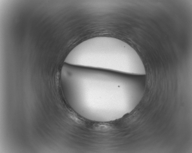 X0000067910475200604131113