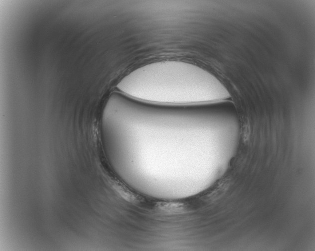 X0000067910476200604131113