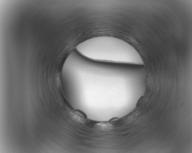 X0000067910477200604131113