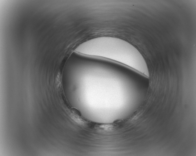 X0000067910478200604131113