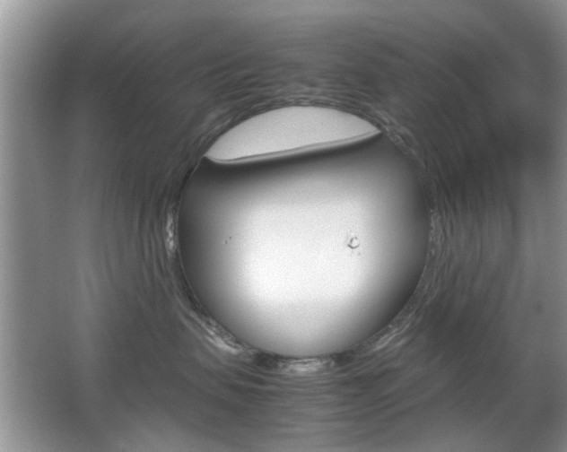 X0000067910479200604131113