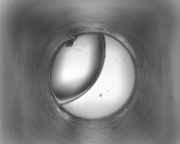 X0000067910481200604131112