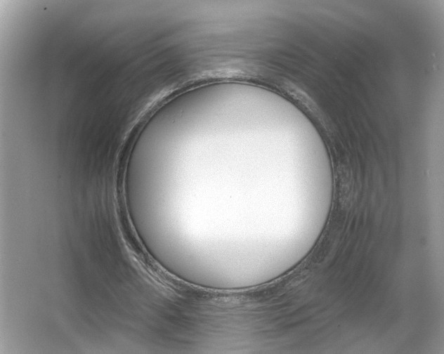 X0000067910482200604131112