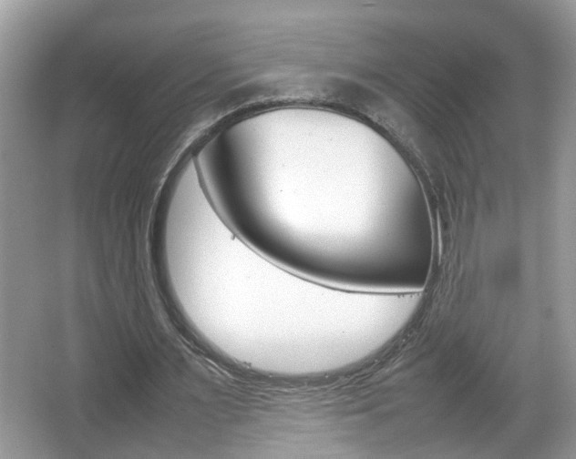 X0000067910483200604131112