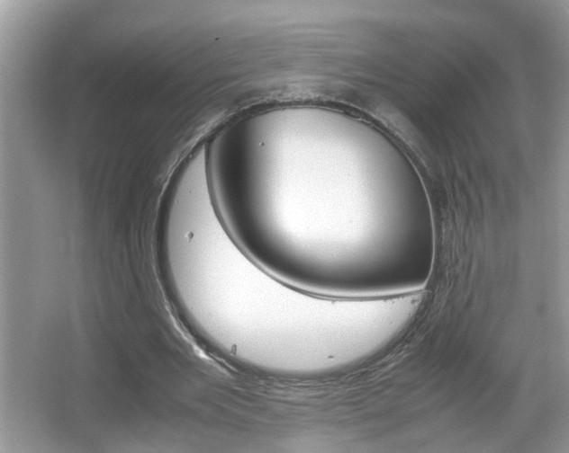 X0000067910485200604131112