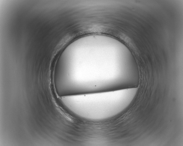 X0000067910486200604131112