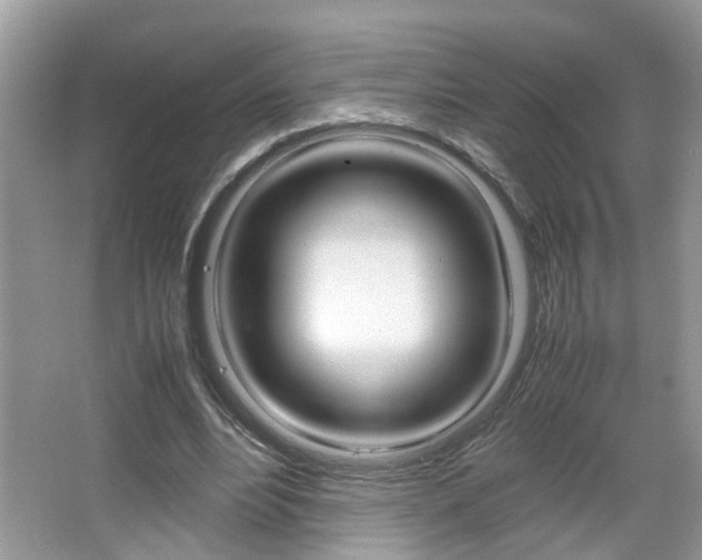 X0000067910488200604131112