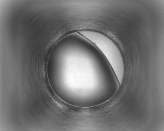 X0000067910489200604131112