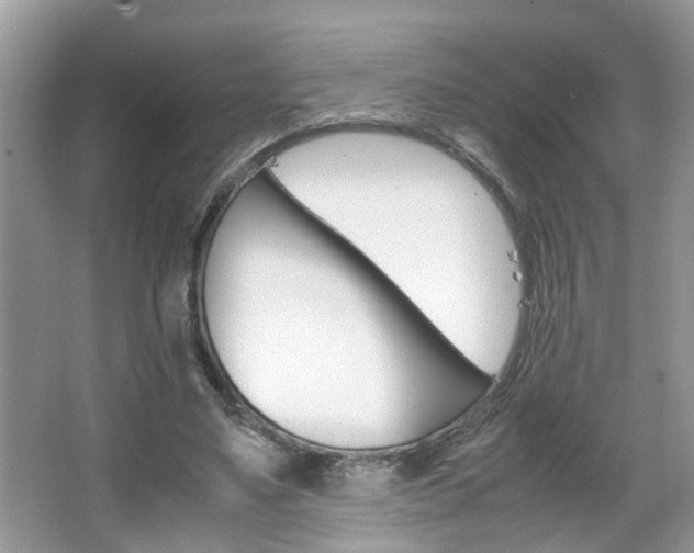 X0000067910491200604131112