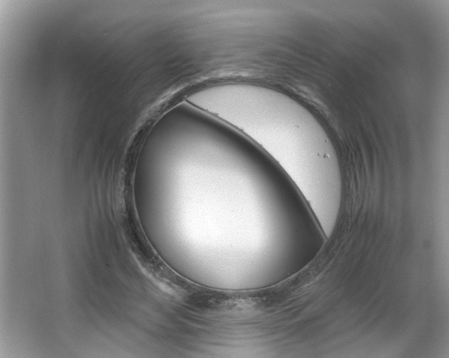 X0000067910492200604131112