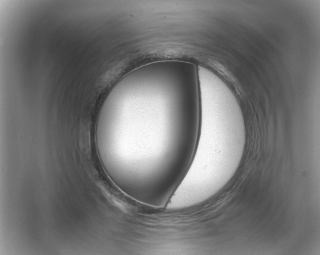 X0000067910493200604131112