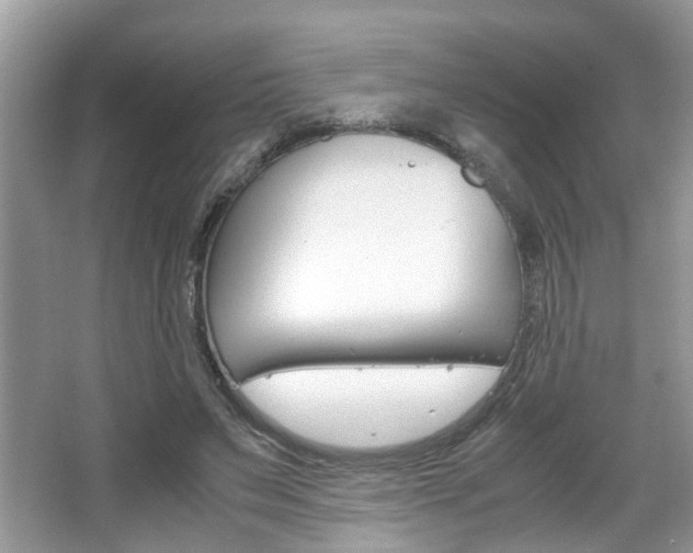 X0000067910495200604131112