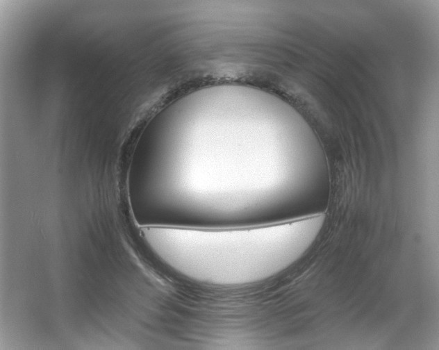 X0000067910496200604131112