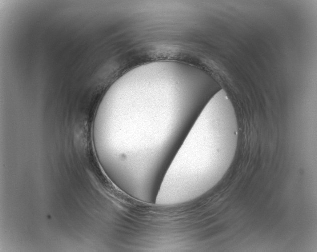 X0000067910498200604131112