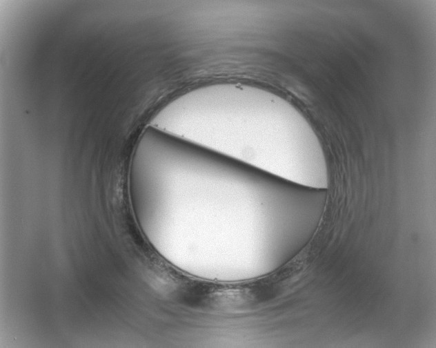 X0000067910499200604131112