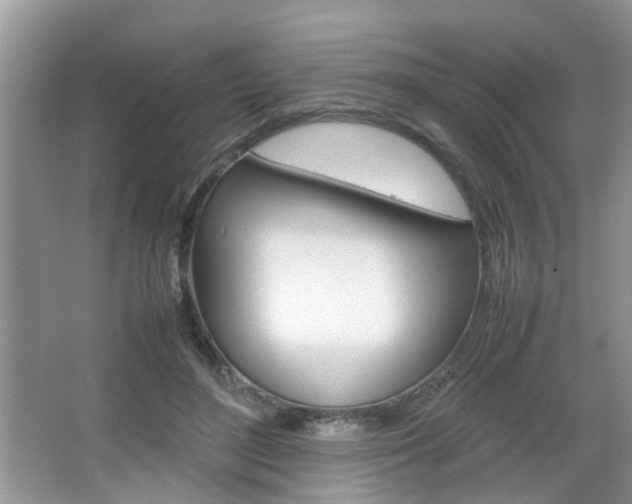 X0000067910500200604131112