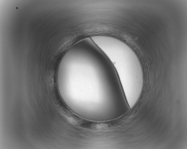 X0000067910501200604131112