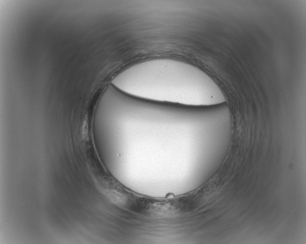 X0000067910502200604131112