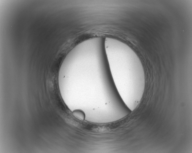 X0000067910503200604131112