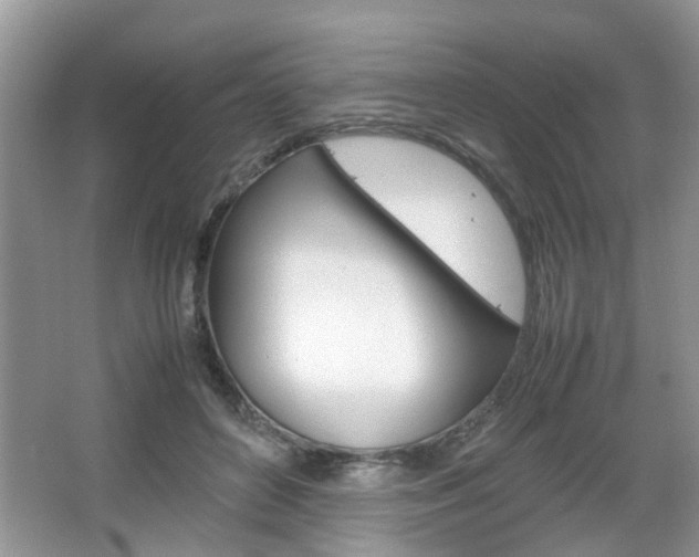 X0000067910504200604131112