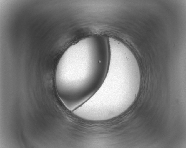 X0000067910505200604131112