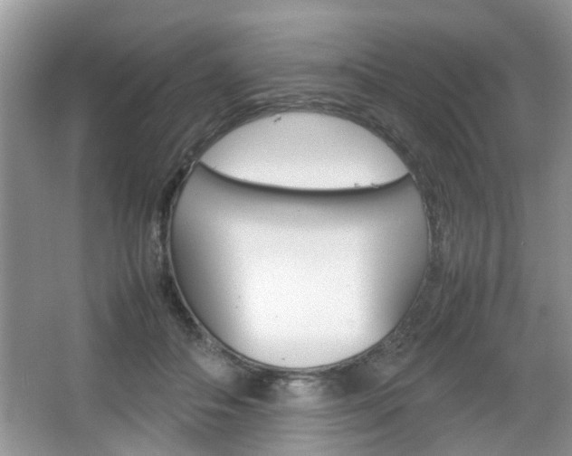 X0000067910506200604131112