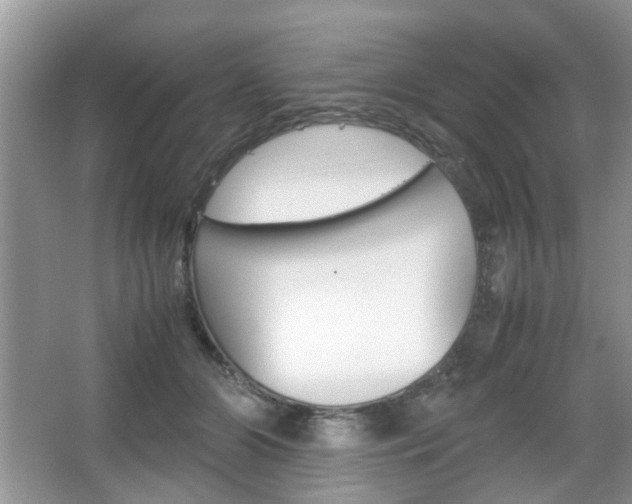 X0000067910510200604131112