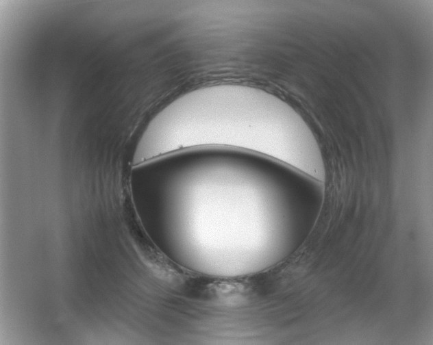 X0000067910512200604131112