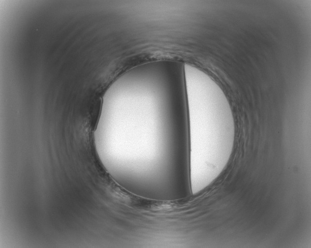 X0000067910513200604131112