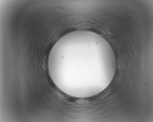 X0000067910515200604131112