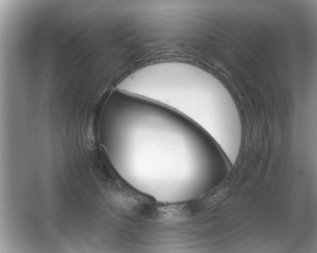 X0000067910516200604131112