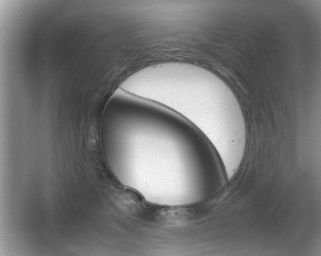 X0000067910517200604131112