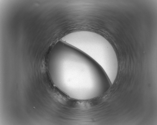 X0000067910520200604131112