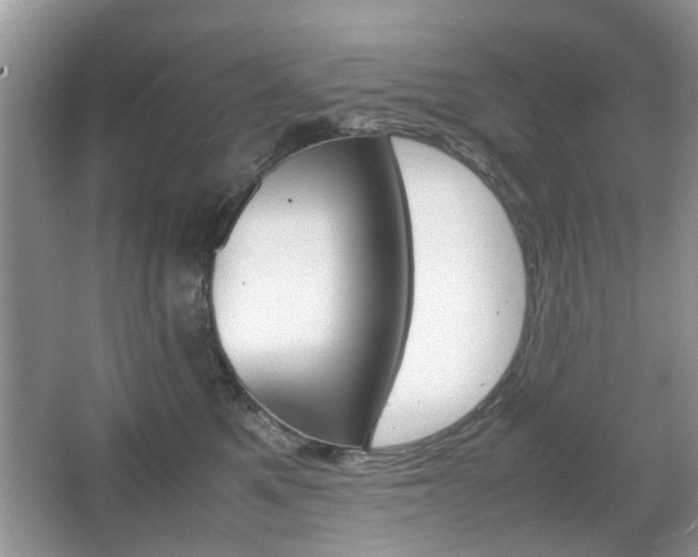 X0000067910521200604131112