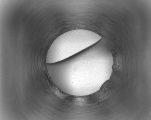 X0000067910522200604131112